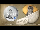 American Curl first coin out of the series Fluffy Cat from the Dogs and Cats program