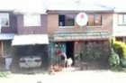 Dog Helps Its Owner Get Firewood into the House in Puerto Montt, Chile