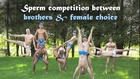 Sperm competition between brothers and female choice