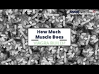 How Much Muscle Does Viagra Build?