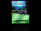 Birdie Replay in hot shots golf Fore