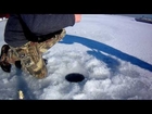 Wisconsin, Racine Harbor - Ice Fishing For Brown Trout And Steelhead