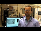 Auburn researchers engineer artificial breast cancer tissue
