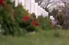 Donation Surge Brings 140K Holiday Wreaths to Arlington Cemetery