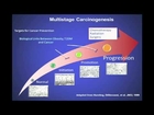 Symposium on Diabetes and Obesity: Derek LeRoith, MD, PhD