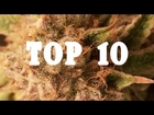 Best Weed Strains 2019 (with THC Level)